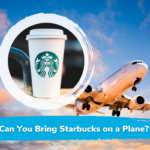 Can You Bring Starbucks on a Plane
