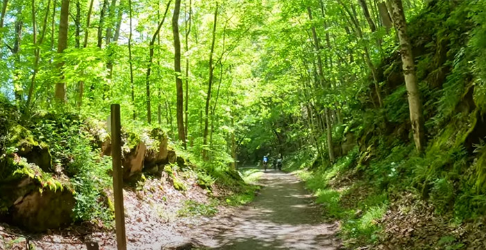 Bike or Hike the Virginia Creeper Trail