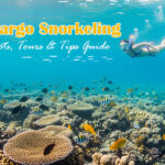 Key Largo Snorkeling: Best Spots, Tours & Tips Guide