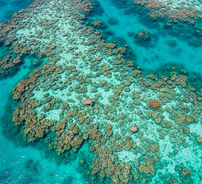 Molasses Reef