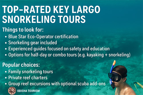 Top-Rated Key Largo Snorkeling Tours